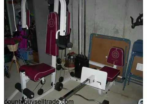 Gold's Gym Weight Bench